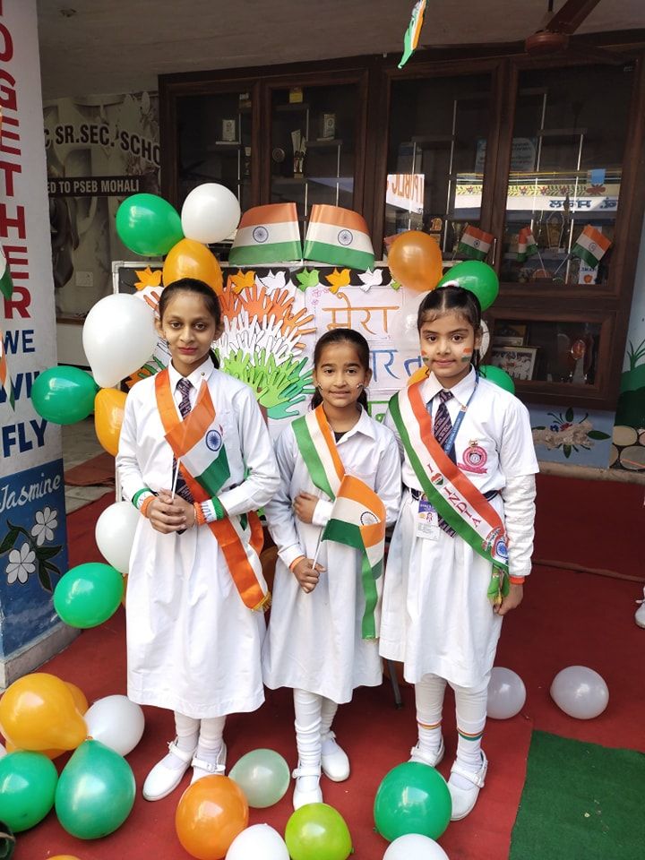 483913127 1153762616443682 3413427739298621532 n